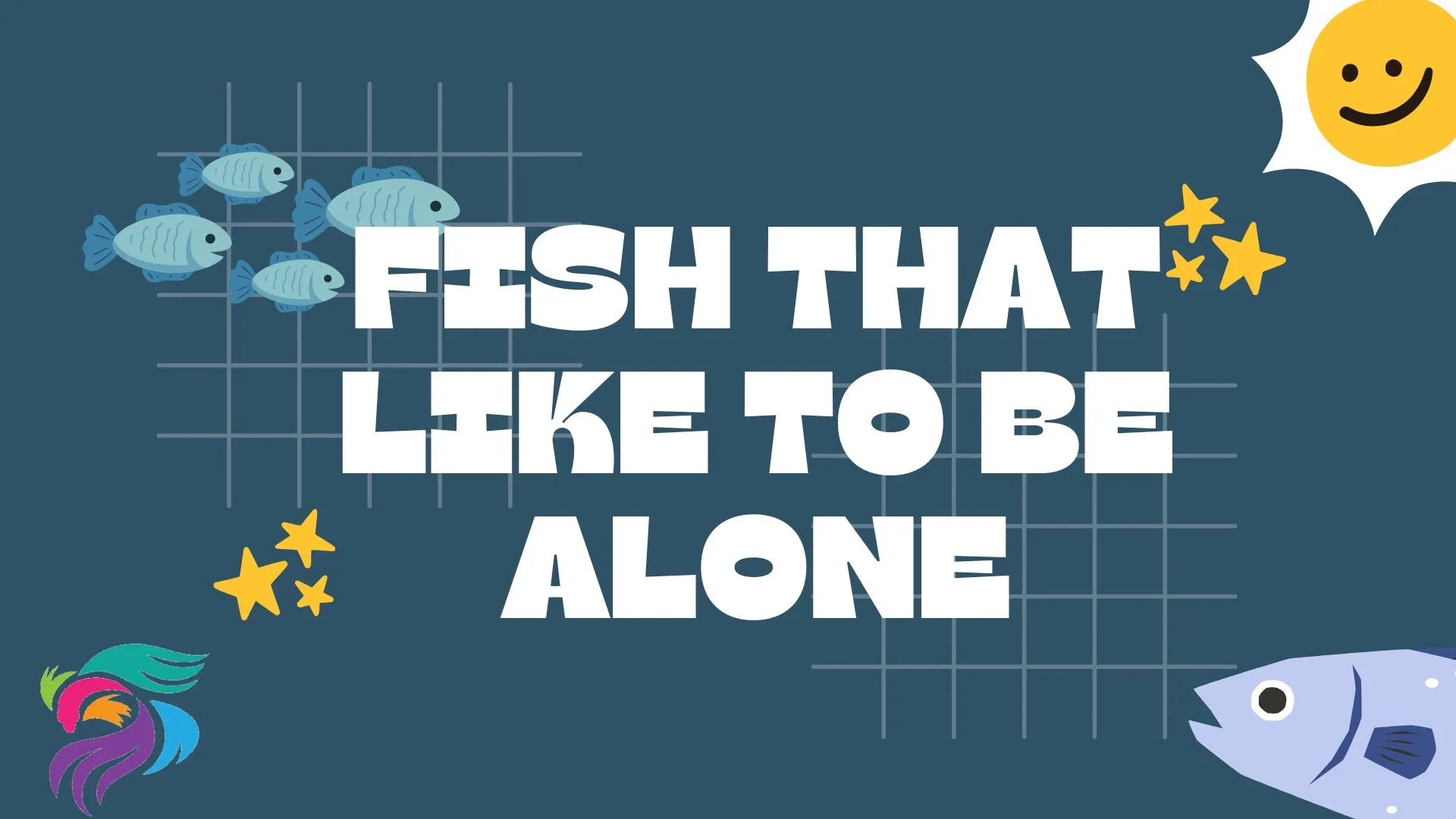 26 Aquarium Fish That Like To Be Alone