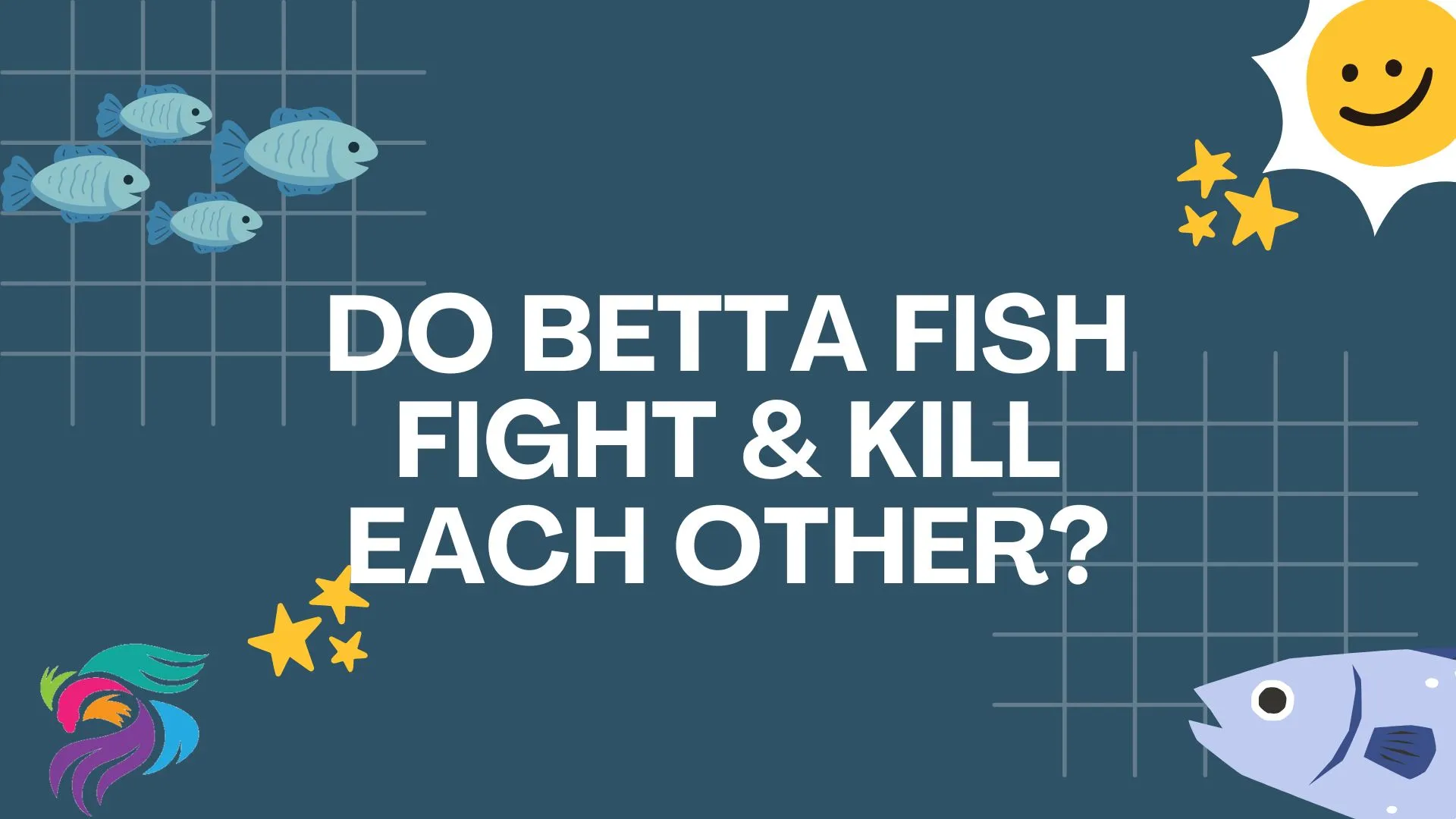 Do Betta Fish Fight & Kill Each Other?