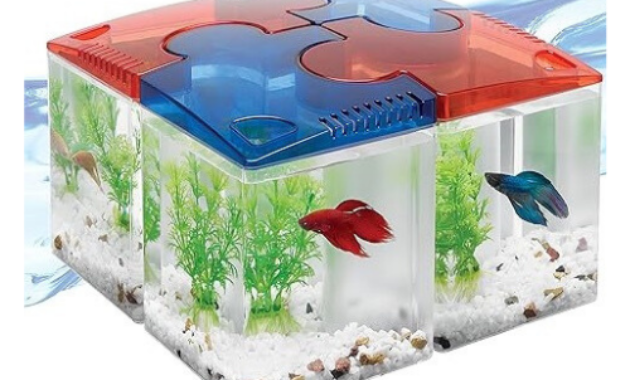 Aqueon-Betta-Puzzle-Aquarium-Fish-Tank-Kit-Blue-Half-Gallon