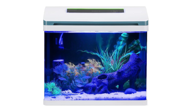Betta Fish Tank Glass 5 Gallon Self Cleaning Small Aquarium